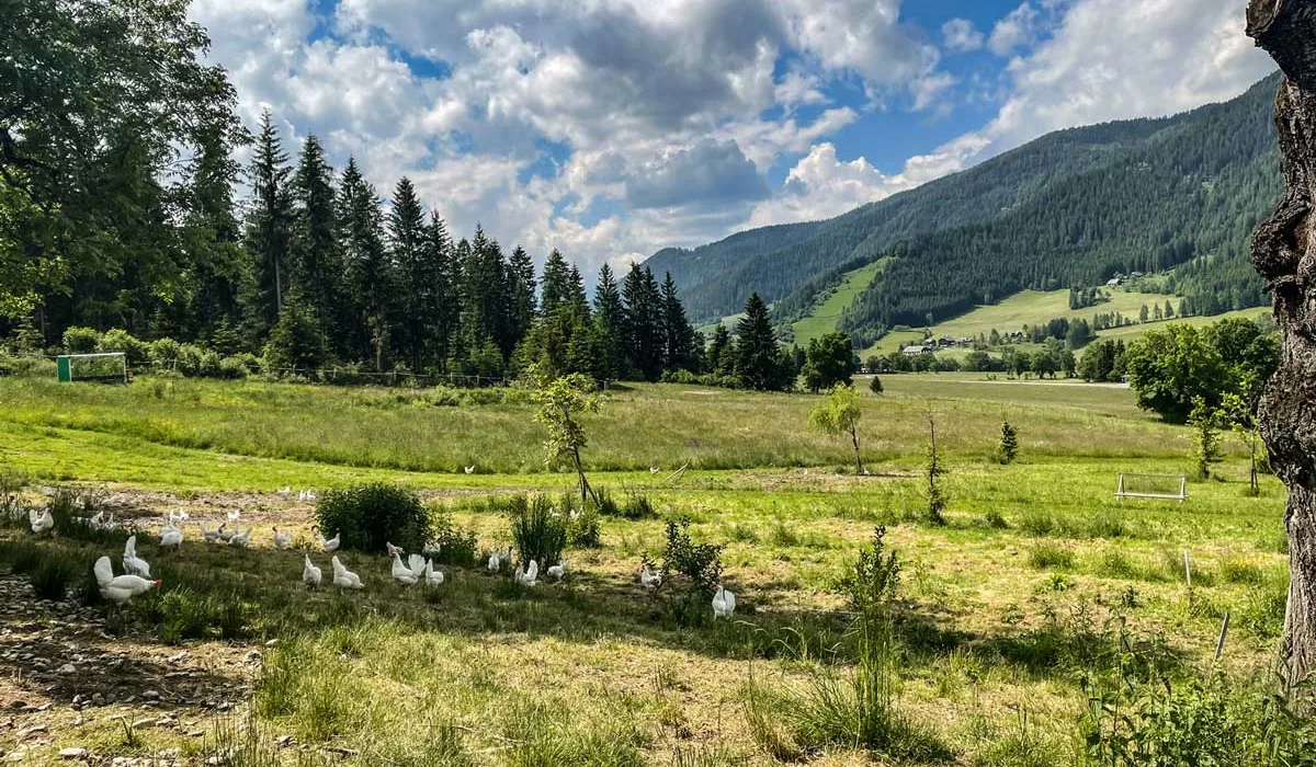 Panorama am Biohof Schnitzer von Fam. Obereder