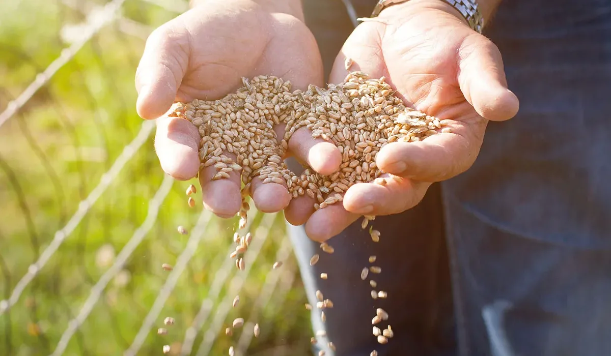 Selbstgemachtes Futter am Biohof Schnitzer